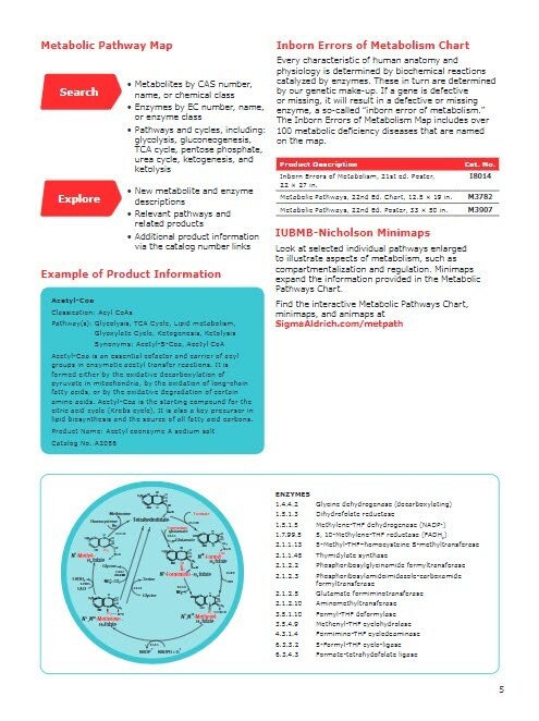 Metabolomic Discovery Brochure Page 5