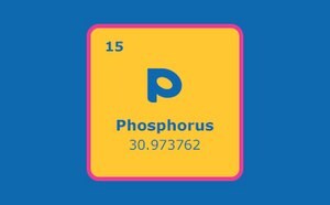 Phosphine Ligands