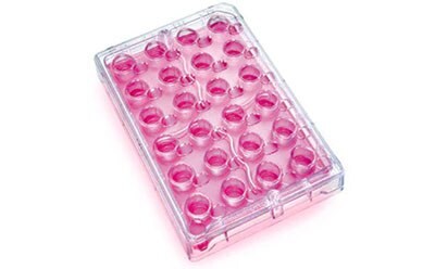 Millicell<sup>®</sup>-24 Cell Culture Insert Plate