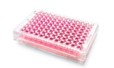 Millicell<sup>®</sup>-96 Cell Culture Insert Plate