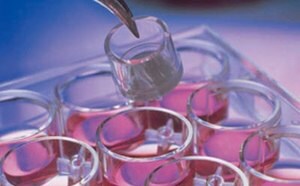 Millicell® Cell Culture Inserts & Plates