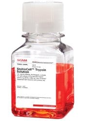 StableCell™ trypsin cell detachment reagent maintains stable activity at room temperature 
