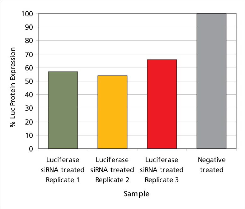 Each replicate is a different mouse