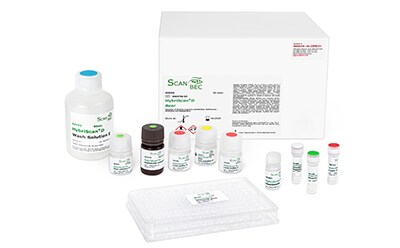 HybriScan® rapid molecular biology test system for detection, and identification of microorganisms