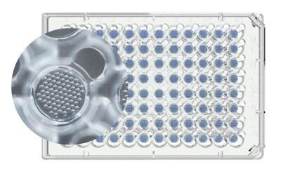 Millicell® Microwell 96-well plate showing the microwells within the wells in the plate