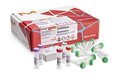 用于基因组DNA的GenElute™-E Single Spin DNA纯化试剂盒
