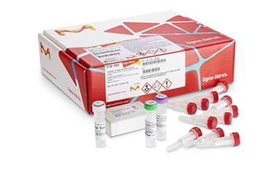GenElute™-E Single Spin DNA purification kit for genomic DNA