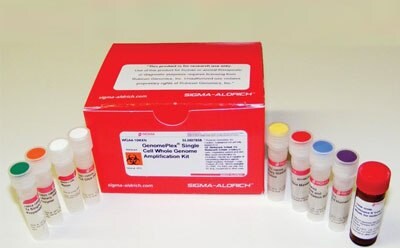Complete genome amplification kits 