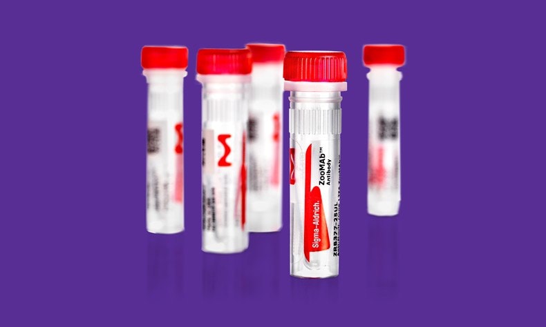 ZooMAb® Antibody Multipack