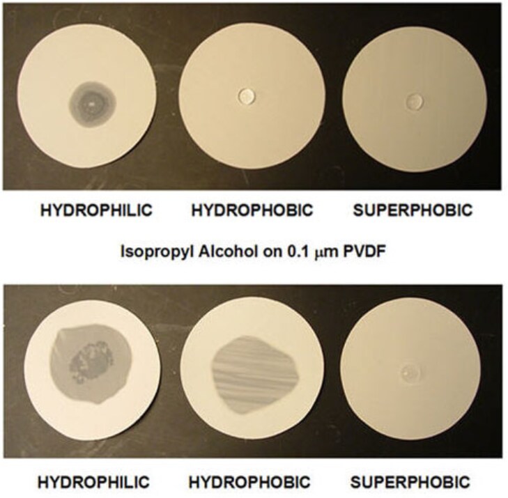 Water droplets on hydrophilic, hydrophobic, and superphobic membrane filters