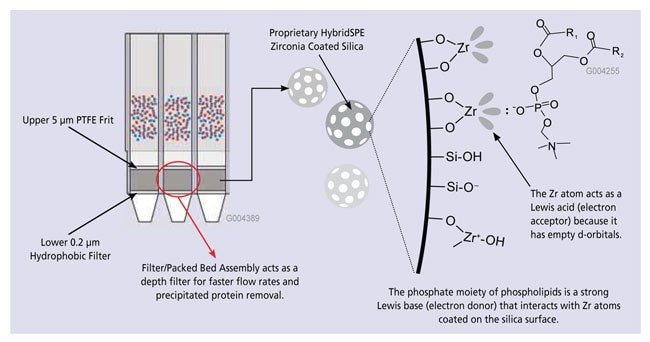 HybridSPE-PT 96-well Schematic and Phospholipid Retention Mechanism