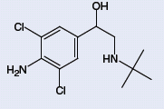 Structure of Clenbuterol
