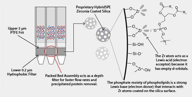 Unique Retention Mechanism of HybridSPE®-Phospholipid Technology