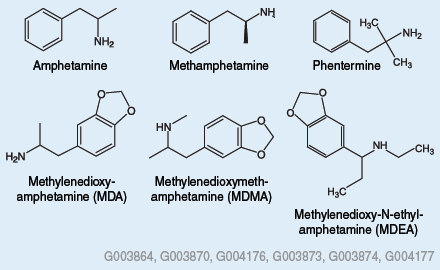  Chemical Structures of Amphetamines and Related Drugs Investigated
