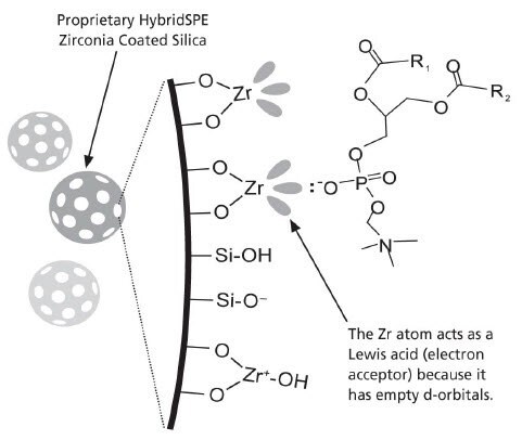 The selective extraction of phospholipids is achieved using a novel zirconia-coated particle technology
