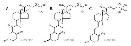 Figure 1. Vitamin D Metabolite Structures