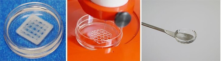 Bioprinting with photocrosslinked hydrogels