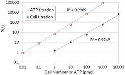 ATP cell viability assay. Firefly luciferase’s use of ATP to oxidize D-Luciferin and the resulting production of light in order to assess the amount of ATP available that correlates to cell number and viability.
