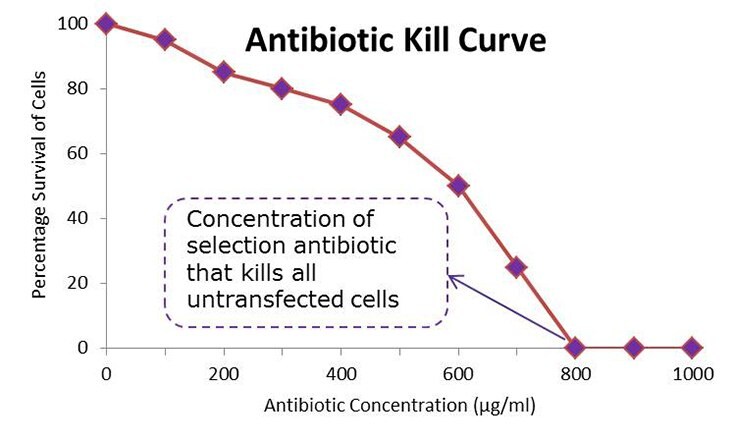 Mock Antibiotic Kill Curve