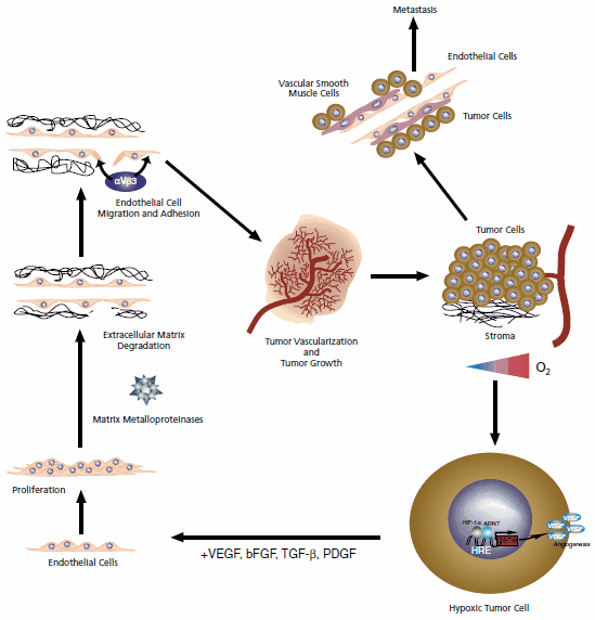 applications-of-cytokines