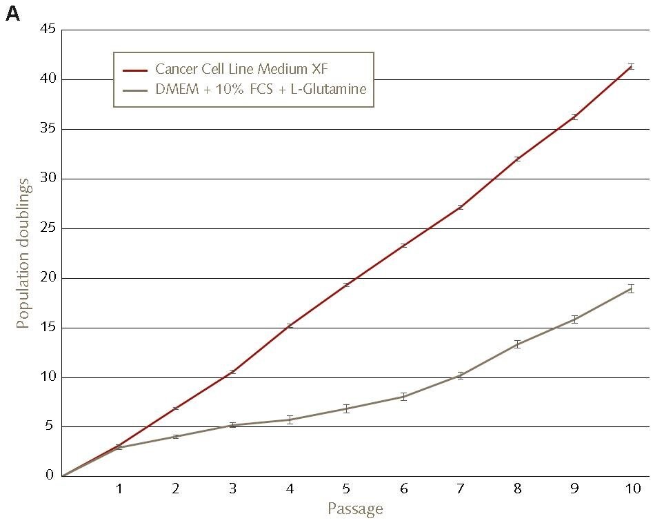 HT1080 cells were plated with 5,000 cells/cm² in Cancer Cell Line Medium XF on fibronectin-coated vessels (red) or in DMEM + 2 mM L-Glutamine + 10% FCS (grey). Subsequently, the cells were cultured for 10 consecutive passages with a passage interval of 3 – 4 days. Accelerated growth kinetics of HT1080 fibrosarcoma cell lines in Promocell’s Cancer Cell Line Medium XF compared to conventional FBS containing culture conditions