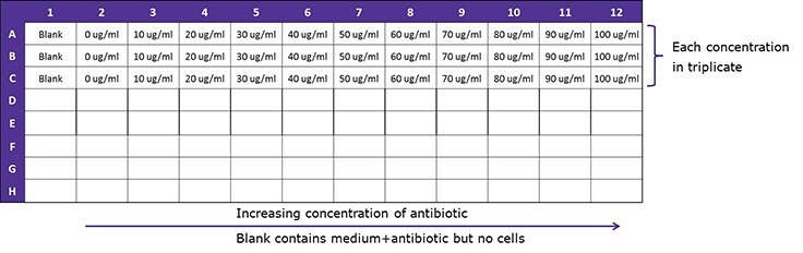 Schematic guide – selection antibiotic concentration.