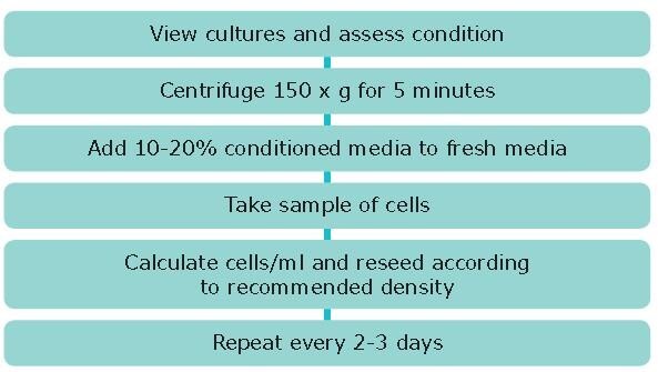 Subculture of Suspension Cell Lines Subculture of Suspension Cell Lines