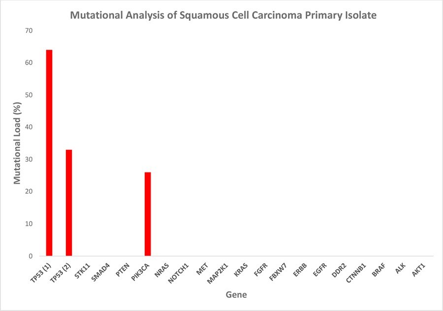 Mutational analysis of the squamous cell carcinoma primary isolate 