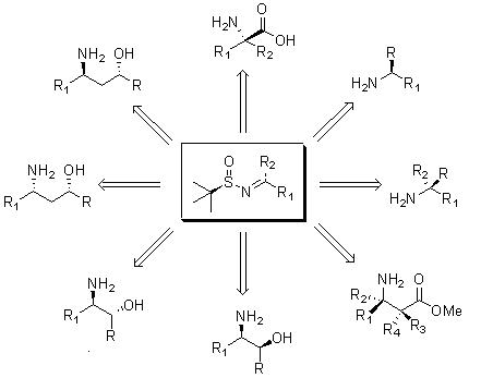 asymmetric synthesis of many versatile building blocks using tert-butanesulfinyl imines