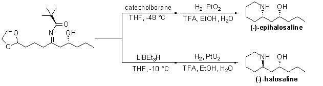 asymmetric syntheses of (-)-halosaline and (-)-8-epihalosaline