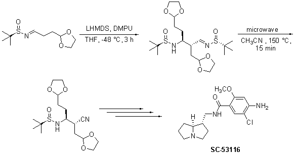 self-condensation of chiral tert-butanesulfinyl imines to form pyrrolizidine alkaloid