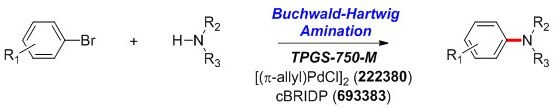 Buchwald-Hartwig Amination Reaction