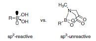 Comparison of sp2 and sp3-hybridized boron species