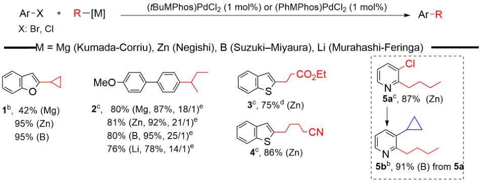 MPhos catalysts are very versatile for many types of couplings, Murahashi−Feringa (Li), Kumada−Corriu (Mg), Negishi (Zn) and Suzuki−Miyaura (B).
