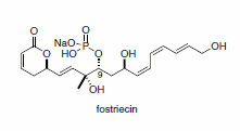 Cytotoxic phosphate ester fostriecin