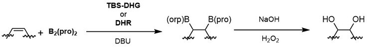 enantioselective-diboration-alkenes-scheme