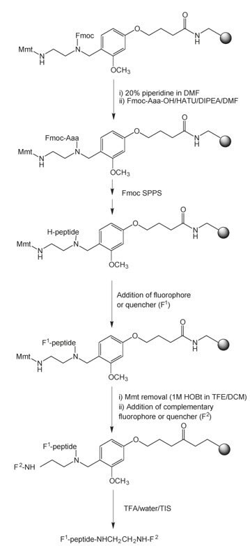 synthesis-using-universal -novatag