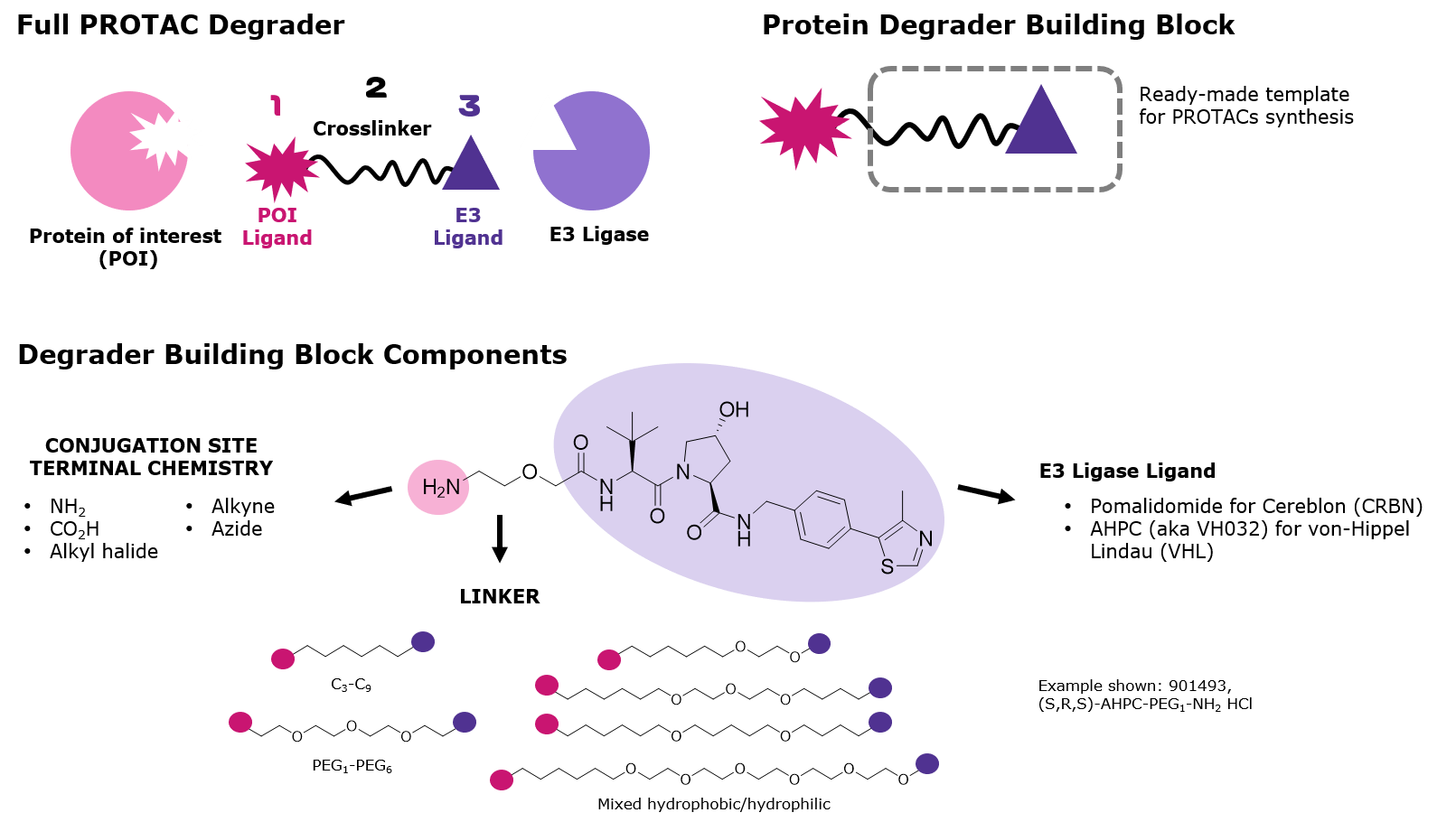 PROTAC Synthesis