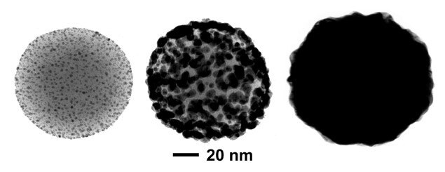 Different stages of nanoshell growth
