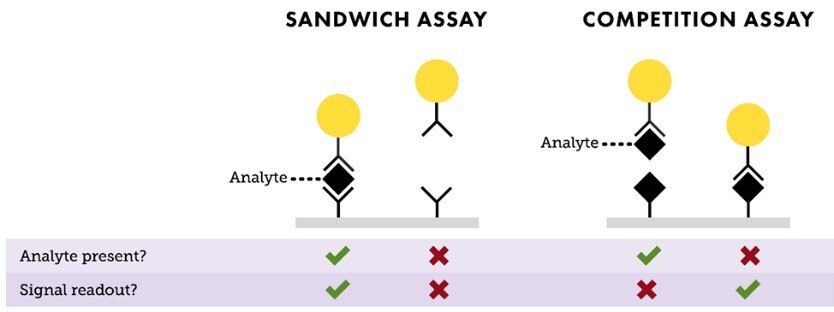 Depiction of “Sandwich” and “Competition” assay formats