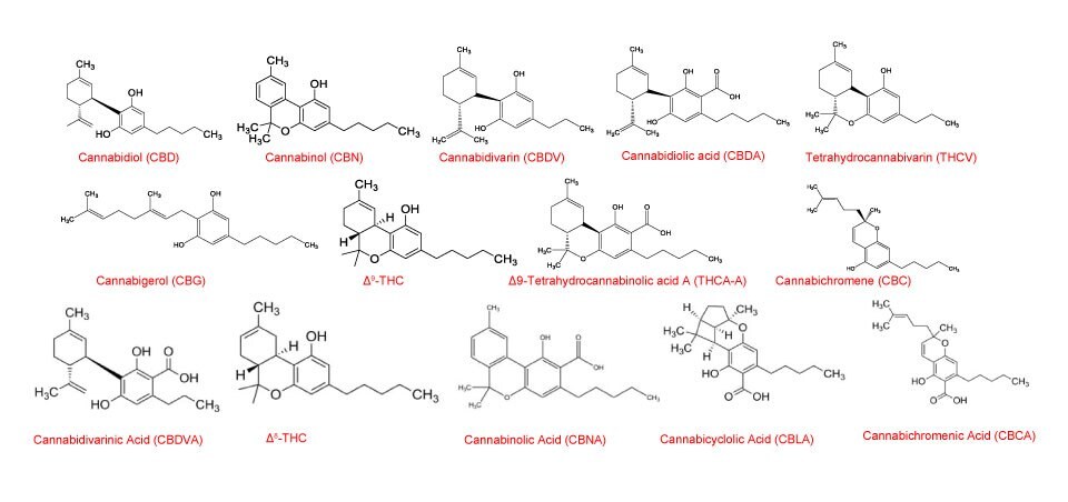 Chemical structures of fourteen cannabinoids used in the study to analyze cannabinoids in cannabis 