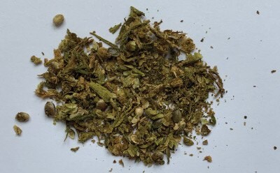 Hemp Buds “Finola” After Three Minutes of Grinding Using a Wooden Rolling Pin.