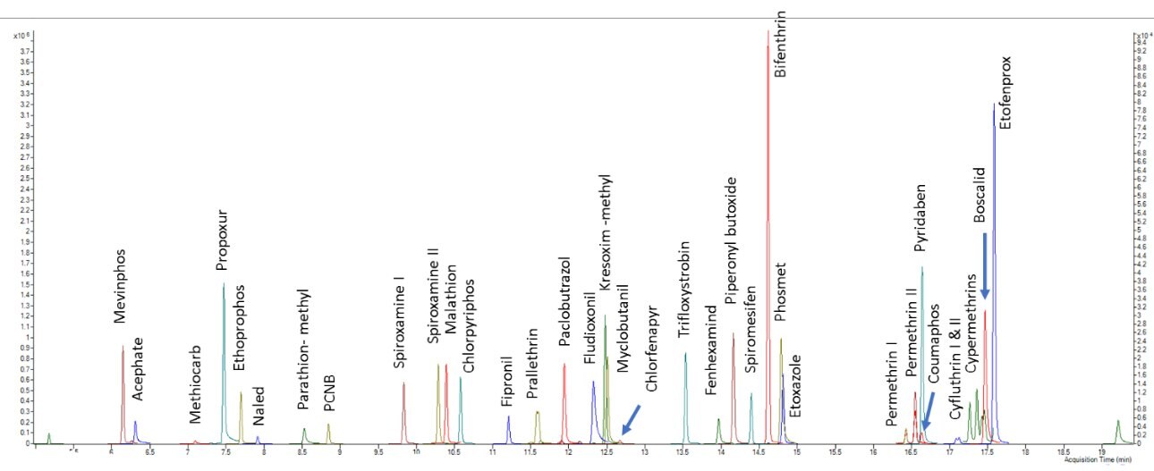 MRM extracted chromatogram of GC-MS/MS amenable pesticides in the California list - Standard at 200 ppb MRM extracted chromatogram of GC-MS/MS amenable pesticides in the California list - Standard at 200 ppb