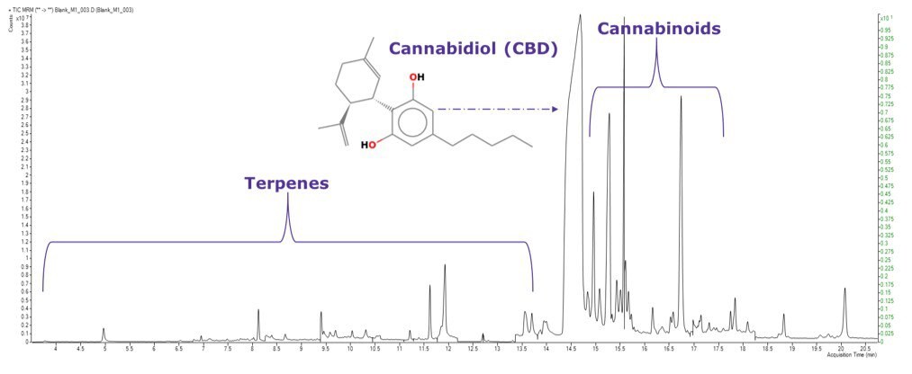 TIC MRM chromatogram of GC-MS/MS amenable pesticides in California list blank sample extract TIC MRM chromatogram of GC-MS/MS amenable pesticides in California list blank sample extract
