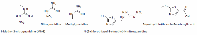Major Metabolites of Clothianidin