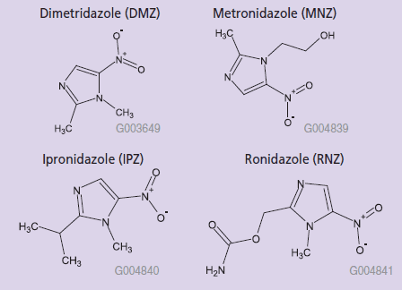 Structure of Nitroimidazoles