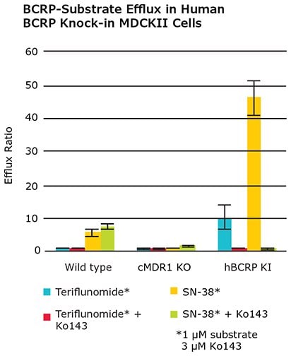 Efflux ratio (ER) of BCRP substrates Teriflunomide