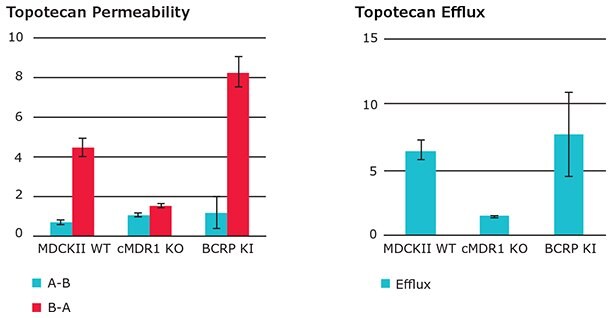Permeability (Papp) and efflux ratio (ER) of hBCRP substrate Topotecan in wild type