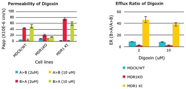 Permeability (Papp) and efflux ratio (ER) of MDR1 substrate digoxin in wild type