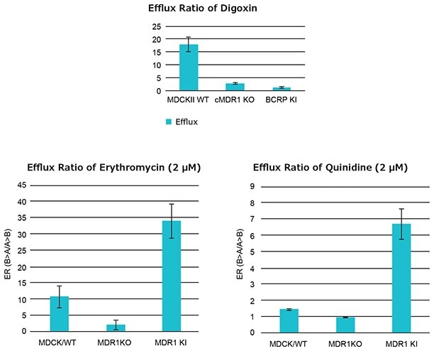 Efflux ratio (ER) of additional MDR1 substrates, erythromycin and quinidine